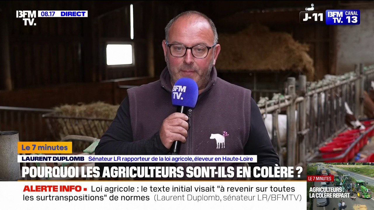 7 MINUTES POUR COMPRENDRE - Normes, néonicotinoïdes, loi Duplomb... Pourquoi les agriculteurs sont-ils en colère ?