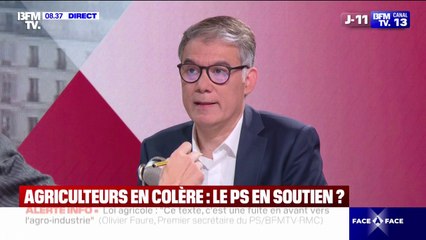 Néonicotinoïdes: Olivier Faure (PS) souhaite "interdire à l'échelle européenne ces produits dangereux"