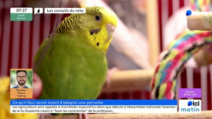 26/05/2025 - ici matin par  ici Breizh Izel en vidéo