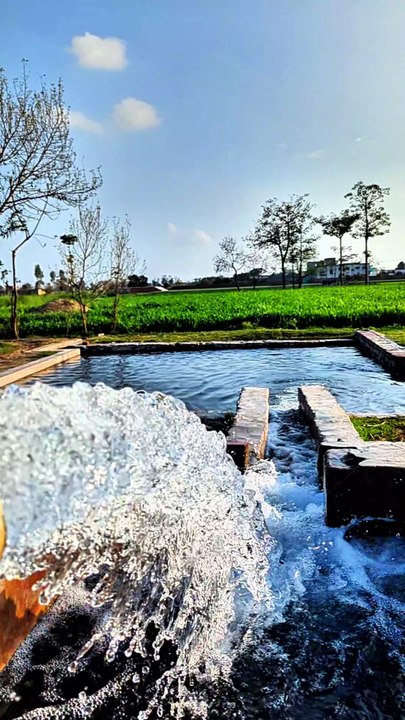 Pind wali vibe 💕🏻