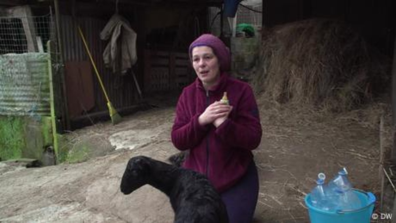 In Italy, women increasingly training as shepherds