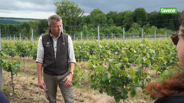 Le Domaine Vins des Cinq a ouvert ces portes ce dimanche 25 mai 2025 à Couthuin
