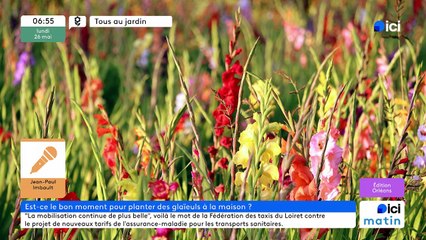 26/05/2025 - ici matin par ici Orléans en vidéo