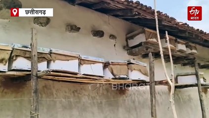 ''सोनहनी शहद ब्रांड'' से कोरिया के किसानों को मिली राष्ट्रीय पहचान, पीएम मोदी ने की सराहना