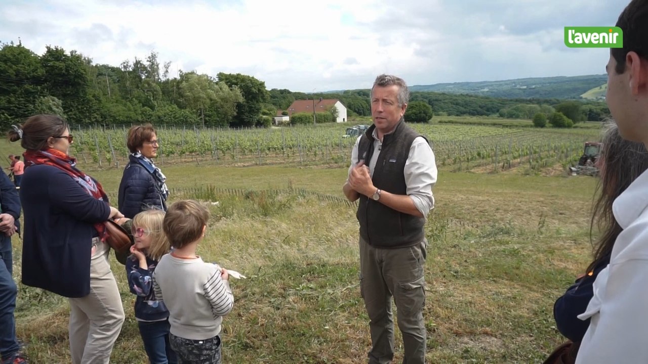 Le Domaine Vins des Cinq a ouvert ces portes ce dimanche 25 mai 2025 à Couthuin
