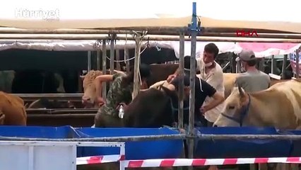 Bayram öncesi 'Bir tıkla bağış değil, tuzağa düşüyorsunuz' uyarısı