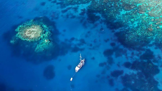 Coral Sea Dreaming Overnight Great Barrier Reef Dive and Snorkel Trips