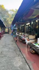 Η Ελένη Φουρέιρα μας δείχνει την Αφρική