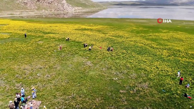 Van'daki tarihi ve doğal güzellik Keşiş Gölü'nden gelen görüntüler mest etti
