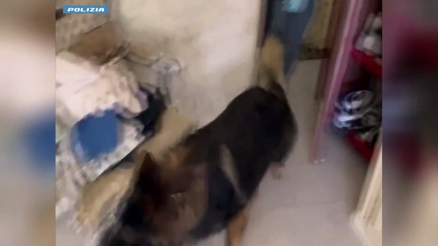 Perlustrazioni nel quartiere San Leone di Catania, scatta un arresto per droga