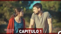 Gritos de Amor Capítulo 1 (Doblado en Español)