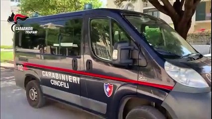 Trapani - Perquisizioni Rione Palme: arrestato un minore per spaccio (26.05.25)