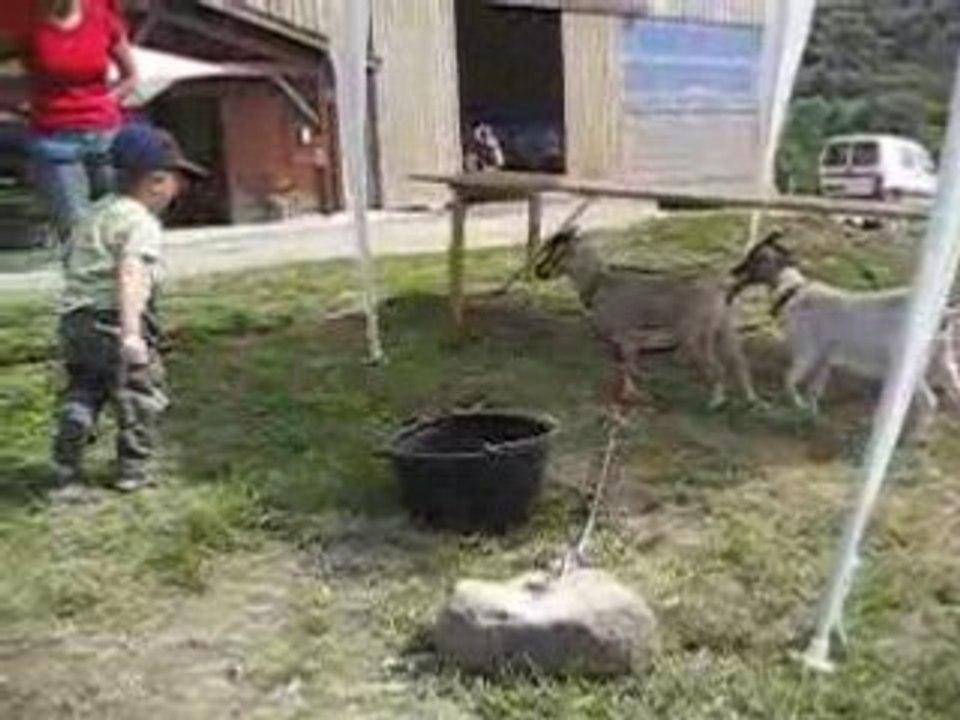 LES BIQUETTES ET GABRIEL