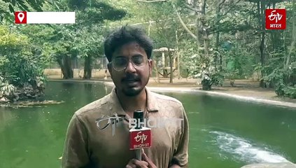 पटना जू का गर्मी पर वार, AC, नारियल पानी और खीर से जानवरों को रखा जा रहा है कूल