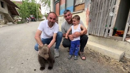 Yavru ayı koruma altında