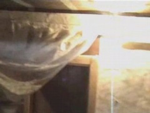 İBİLİ -ÖZCAN-KENAN ALTAY-AMLAKİT YAYLASINDA-KAVRUN.TR.GG