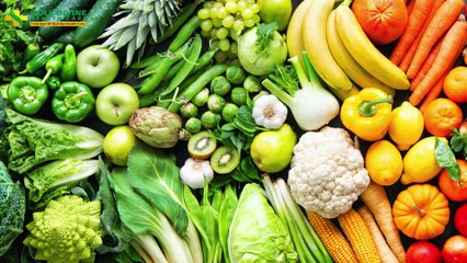 Buy Ayurvedic & Herbal Products by Holy Divine Healthcare