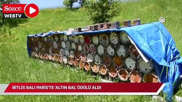 Bitlis balı Paris'te 'Altın Bal' ödülü aldı