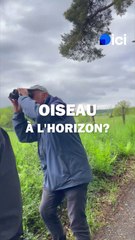 H2O en balade en Auvergne: L'ornitherapie
