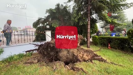 Bolu'da sağanak ve fırtına etkili oldu! Ağaçlar kökünden söküldü