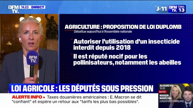 Loi Duplomb: Ce texte est un danger pour la santé publique , indique Delphine Batho, députée Écologiste et Social des Deux-Sèvres
