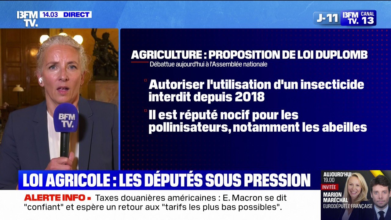 Loi Duplomb: "Ce texte est un danger pour la santé publique", indique Delphine Batho, députée "Écologiste et Social" des Deux-Sèvres