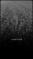 Eid Howe te deed Na Howe