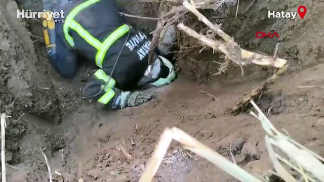 Yürekleri ısıtan görüntü... Su kuyusuna düşen yavru köpek kurtarıldı