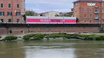 servizio sul giro d'Italia a pisa 2025