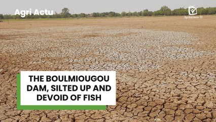 Agri Actu: The Boulmiougou dam, silted up and devoid of fish