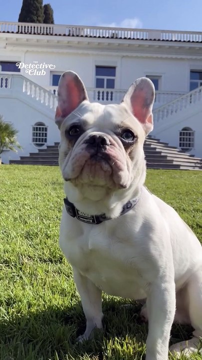 W9 lancera le lundi 16 juin à 19h50 sa nouvelle émission de télé-réalité "The Detective Club : qui a volé Kiki ?", avec 18 candidats emblématiques du petit écran dont ... Cindy Sander!