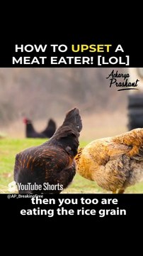 How to Upset a Meat Eater? || Acharya Prashant