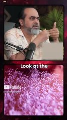 You're A Lucky Accident! || Acharya Prashant