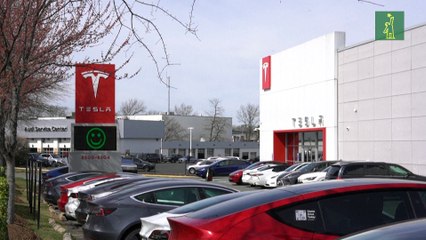 Fuerte caída de las ventas de Tesla en Europa ante marcas chinas