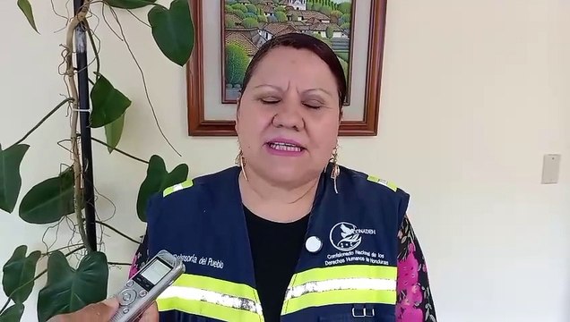 Aumentan denuncias por abuso sexual contra niños y niñas: Conadeh