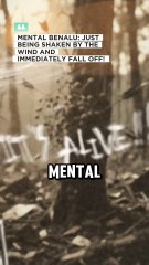 Tuesday motivation quotes | motivational video in english