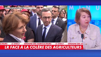 Fadila Mehal sur la colère des agriculteurs : «C'est une crise multifactorielle