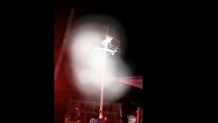VIDEO: Hondureño se prende en fuego al subir a poste eléctrico para atrapar loros