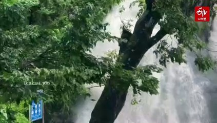 குற்றாலம் அருவிகளில் கடும் வெள்ளப்பெருக்கு; சுற்றுலா பயணிகள் குளிக்கத் தடை!