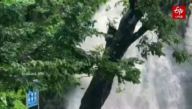 குற்றாலம் அருவிகளில் கடும் வெள்ளப்பெருக்கு; சுற்றுலா பயணிகள் குளிக்கத் தடை!