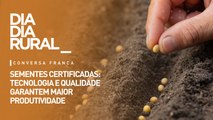 Sementes certificadas: tecnologia e qualidade garantem maior produtividade