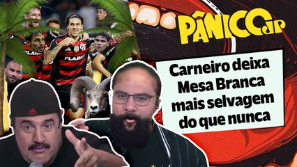 RATINHO DETONA ECONOMIA E ENÉAS MOSTRA QUE NA MINHA TERRA TEM PALMEIRAS COM MEDO DO FLAMENGO
