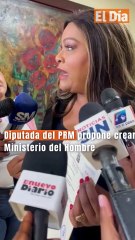 Diputada del PRM propone crear Ministerio del Hombre