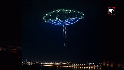 Show de Drones en Posadas | El pino araucaria