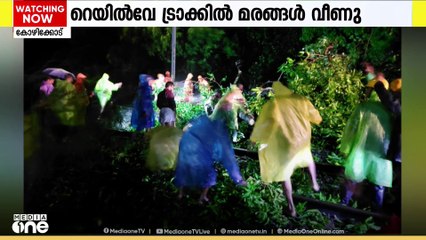 ചുഴലിക്കാറ്റിൽ റെയിൽവേ ട്രാക്കിലേക്ക് മരങ്ങൾ കടപുഴകി വീണു; ട്രെയിൻ സർവീസ് തടസപ്പെട്ടു