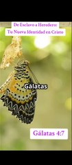De Esclavo a Heredero: Tu Nueva Identidad en Cristo