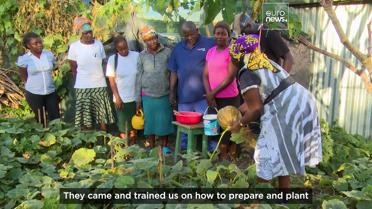 Watch: The Kenyan network saving seeds for future generations