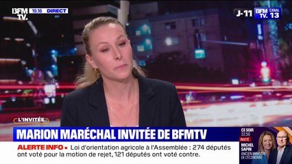 Frères musulmans: "Je défends l'interdiction de cette idéologie", affirme Marion Maréchal