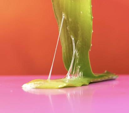 Incorporez l'aloe vera à votre routine quotidienne pour la santé et le bien-être