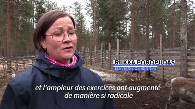 Arctique finlandais: les éleveurs de rennes cohabitent difficilement avec l'armée